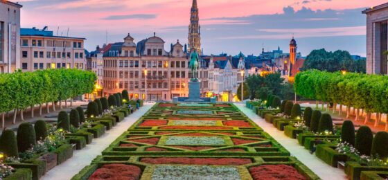 Україна – Бельгія